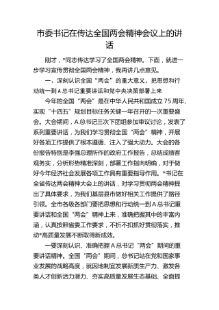 市委书记在传达全国两会精神会议上的讲话4600字