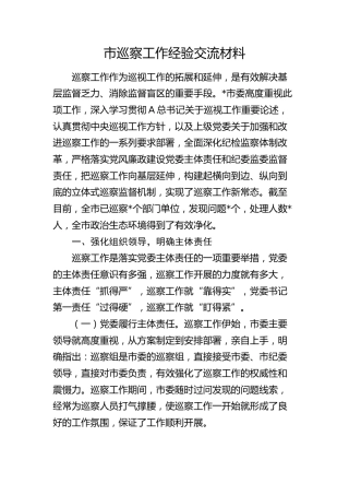 市巡察工作经验总结交流2500字