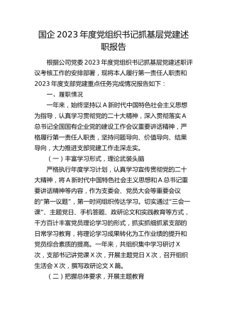 国企公司2023年度党组织书记抓基层党建述职报告2500字