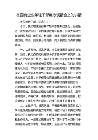 在国企公司年轻干部廉政谈话会上的讲话