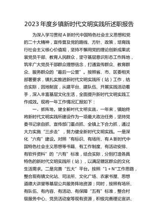 乡镇新时代文明实践所述职报告（总结汇报）