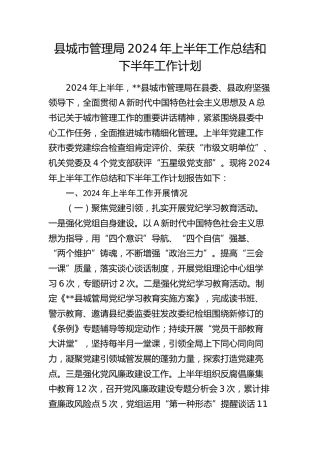 县城管执法系统2024年上半年工作总结和下半年工作计划