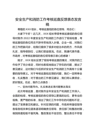 安全生产和消防工作考核巡查反馈表态发言