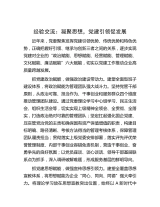经验交流：凝聚思想，党建引领促发展