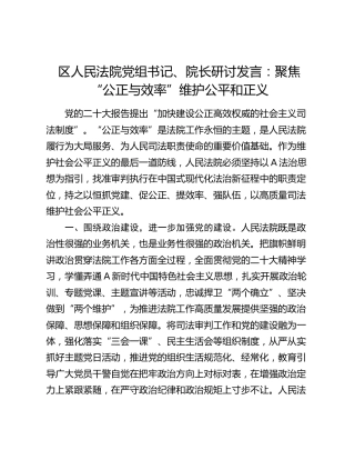 法院研讨发言：聚焦“公正与效率” 维护公平和正义