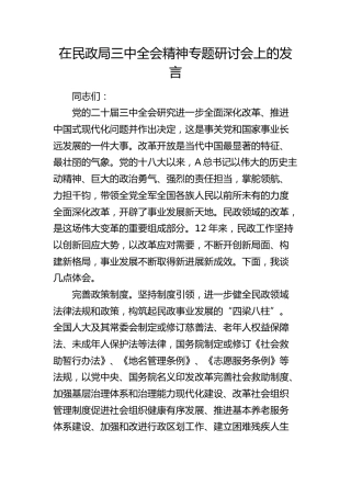 在民政系统中心组二十届三中全会精神专题研讨会上的发言1400字