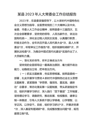 县区2023年人大常委会工作总结报告