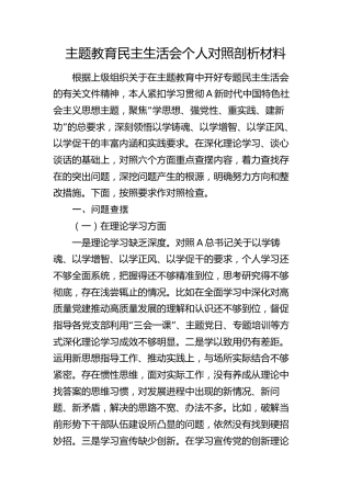 2023年度主题教育民主生活会个人对照检查6300字（含政绩观、典型案例剖析）