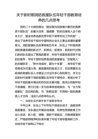 新时期消防救援队伍年轻干部教育培养的几点思考（调研报告）