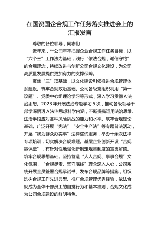 在国资国企合规工作任务落实推进会上的汇报发言（公司）