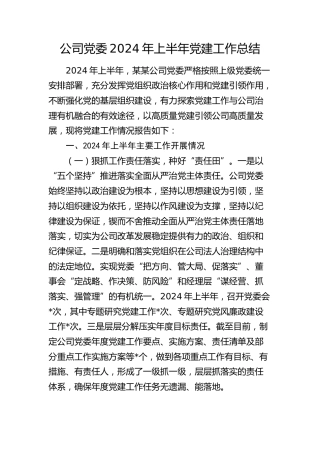 公司党委2024年上半年党建工作总结3300字