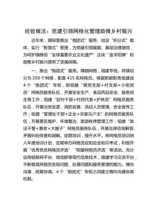 经验做法：党建引领网格化管理 助推乡村振兴