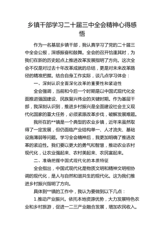 乡镇干部学习二十届三中全会精神心得体会发言