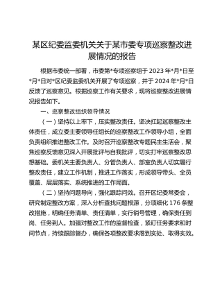 区纪委监委关于专项巡察整改进展情况的总结报告