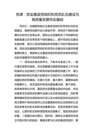 党课：抓实基层党组织和党员队伍建设 为高质量发展夯实基础（国企公司）