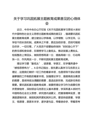 学习巩固拓展主题教育成果意见的心得体会（发言）