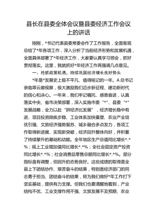 县长在县委全体会议暨县委经济工作会议上的讲话
