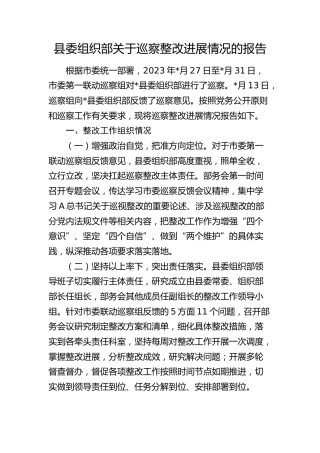 组织部关于巡察整改进展情况的总结报告2