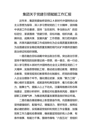 公司党建引领赋能工作汇报