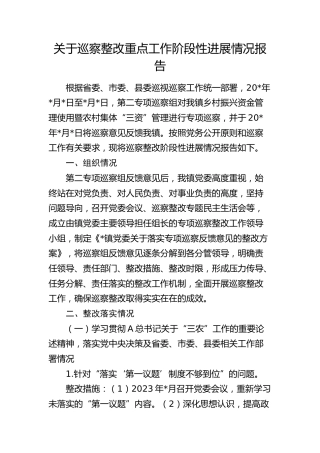 巡察整改重点工作阶段性进展情况总结报告（调研报告）
