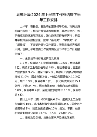 县统计局2024年上半年工作总结暨下半年工作安排1