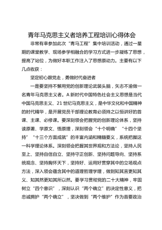 青马工程培训心得体会