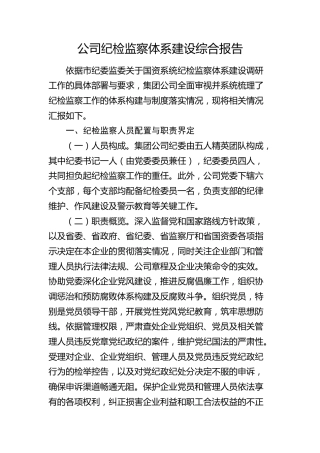 公司纪检监察体系建设综合报告（总结）