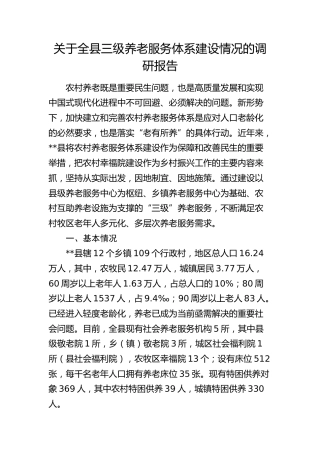 全县三级养老服务体系建设情况的调研报告