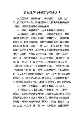 乡镇党委抓党建促乡村振兴经验做法