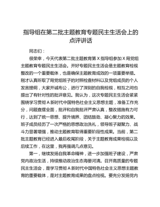指导组在第二批主题教育专题民主生活会上的点评讲话2800字