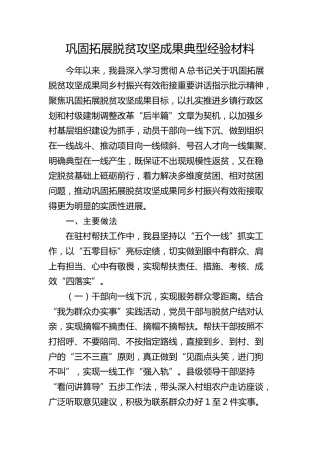 巩固拓展脱贫攻坚成果典型经验