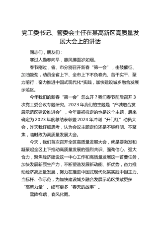 党工委书记、管委会主任在高新区高质量发展大会上的讲话