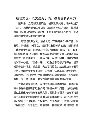 经验交流：以党建为引领，激发发展新活力