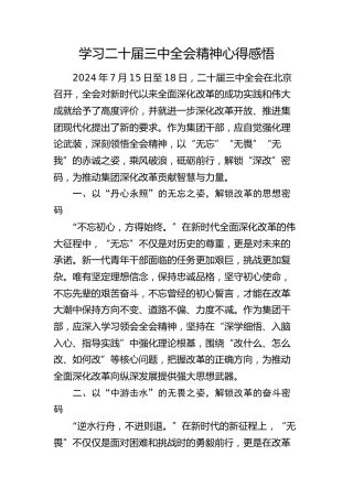 学习二十届三中全会精神心得感悟(1)