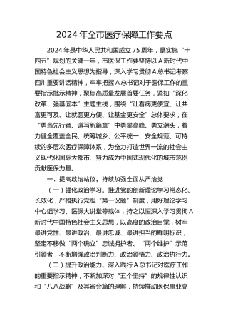 2024年全市医疗保障（医保）工作要点