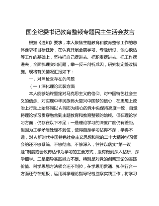 国企公司纪委书记主题教育暨教育整顿专题民主生活会对照检查3300字