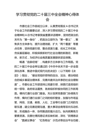 社会工作部学习贯彻二十届三中全会精神心得体会发言