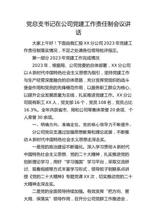 党总支书记在公司党建工作责任制会议讲话（4300字总结）