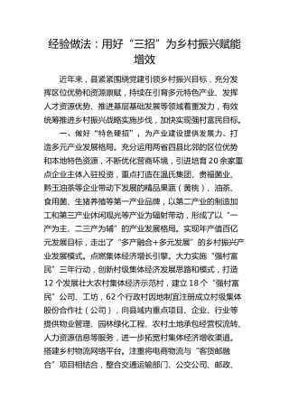 经验做法：用好“三招”为乡村振兴赋能增效（发言）