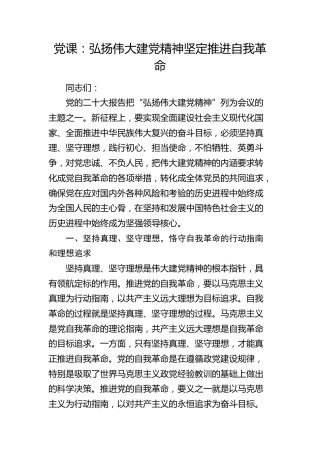 党课：弘扬伟大建党精神 坚定推进自我革命