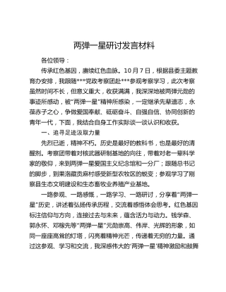两弹一星研讨发言材料