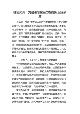 经验交流： 党建引领聚合力 相融互促谋新篇（发言）