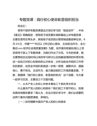 党课：践行初心使命 彰显组织担当18000字