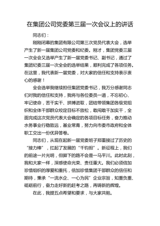 在公司党委全会上的讲话