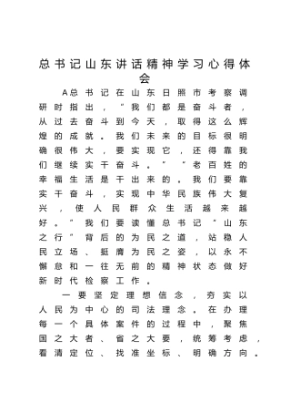 总书记山东讲话精神学习心得体会发言（检察）