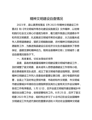 县区精神文明建设自查情况总结报告