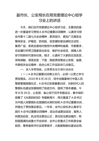 副市长、公安局长在中心组学习会上的讲话（训词精神）