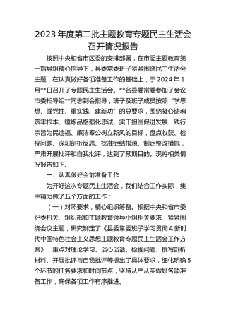2023年度主题教育专题民主生活会召开情况报告2900字