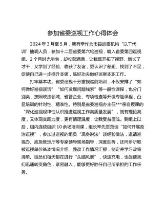 参加省委巡视工作心得体会（巡察）（巡察）