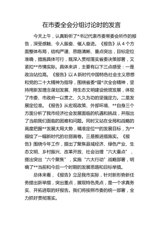 在市委全会分组讨论时的发言（市政府工作报告心得）